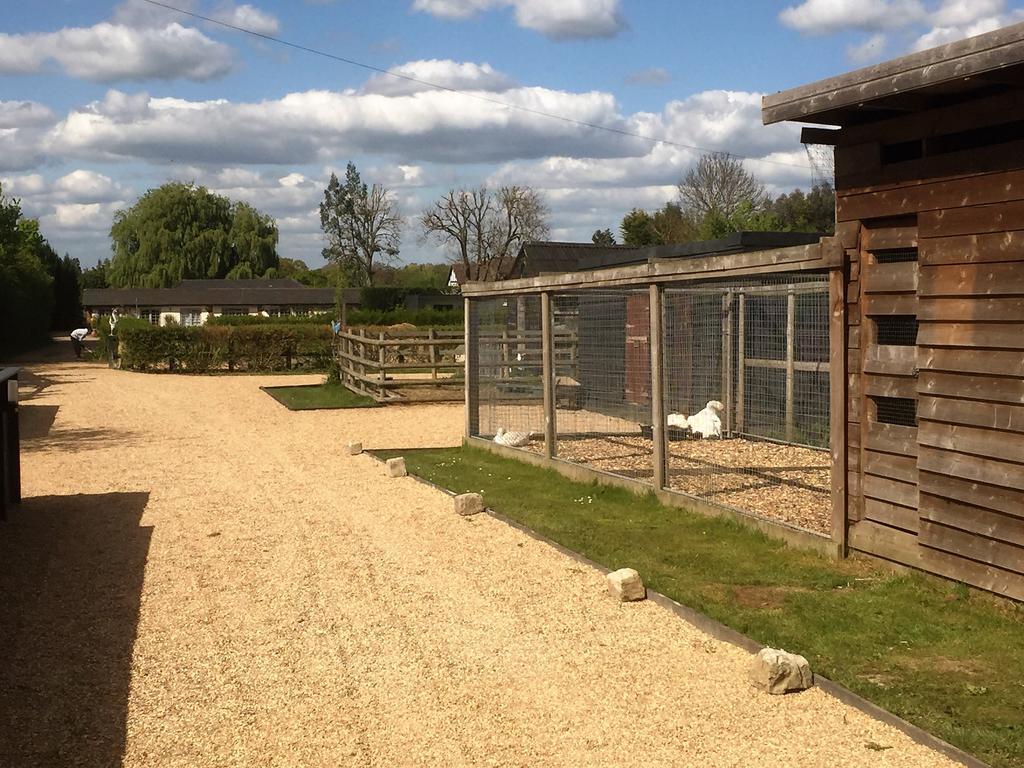 Willow Court Farm Studio South & Petting Farm, 8 Mins From Legoland & Windsor, 15 Mins From Lapland Uk Exterior foto