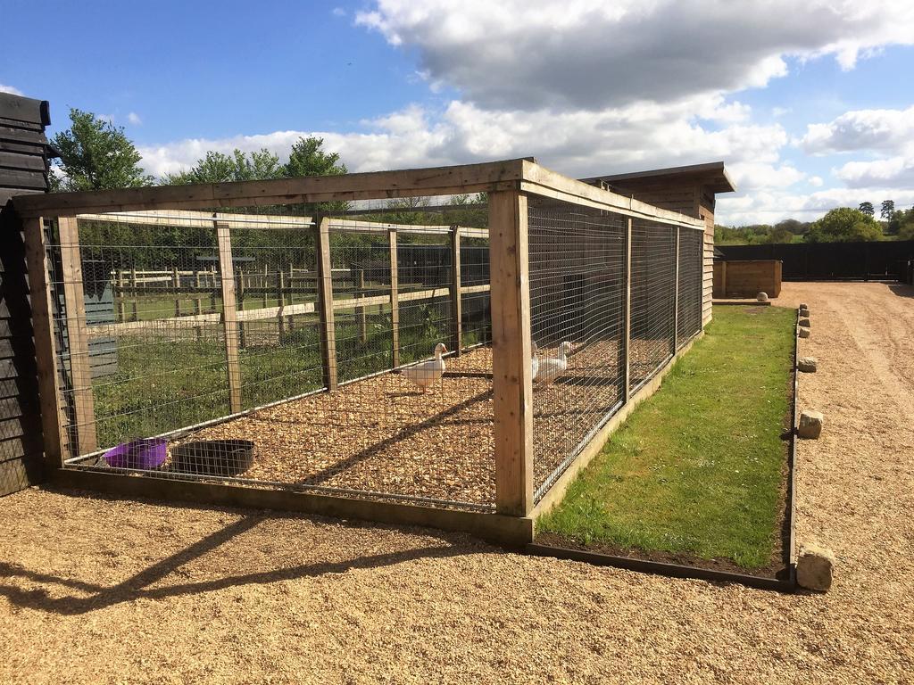 Willow Court Farm Studio South & Petting Farm, 8 Mins From Legoland & Windsor, 15 Mins From Lapland Uk Exterior foto