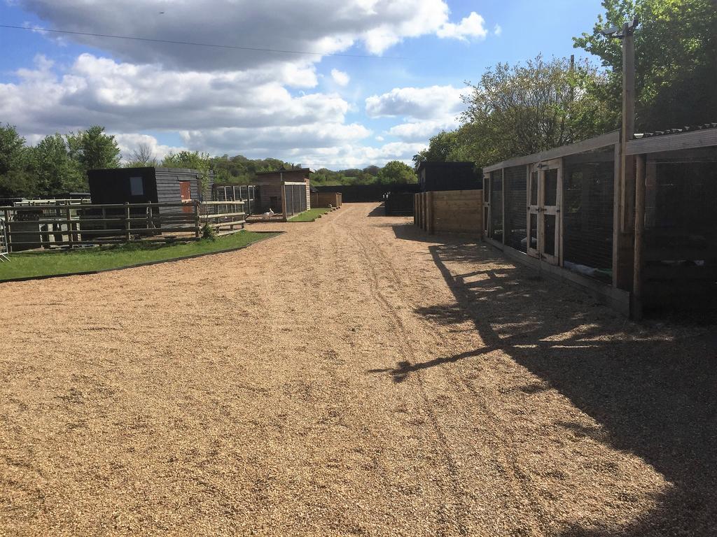 Willow Court Farm Studio South & Petting Farm, 8 Mins From Legoland & Windsor, 15 Mins From Lapland Uk Exterior foto