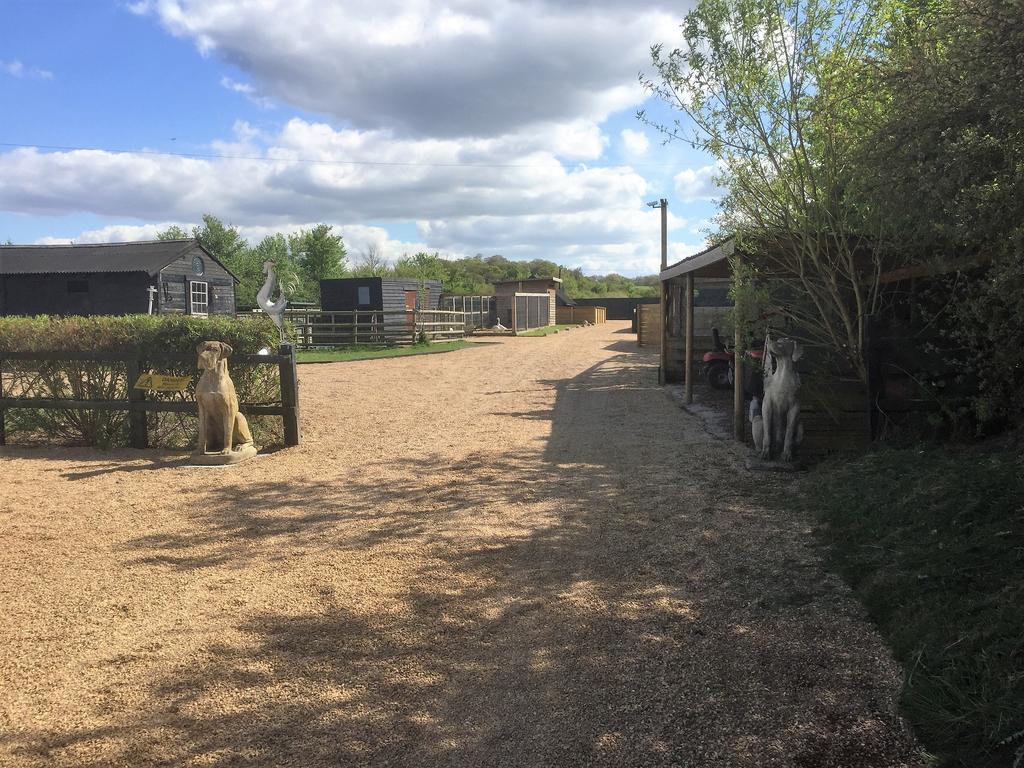 Willow Court Farm Studio South & Petting Farm, 8 Mins From Legoland & Windsor, 15 Mins From Lapland Uk Exterior foto