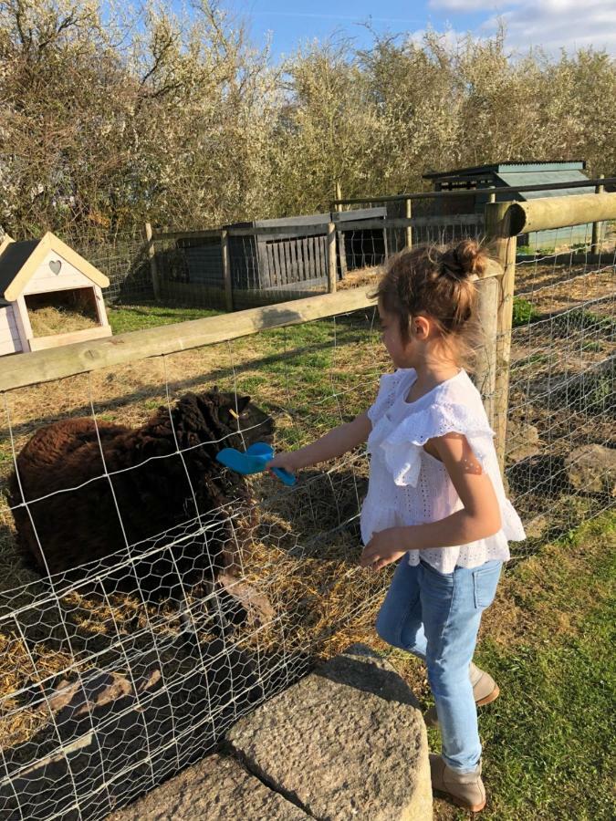 Willow Court Farm Studio South & Petting Farm, 8 Mins From Legoland & Windsor, 15 Mins From Lapland Uk Exterior foto