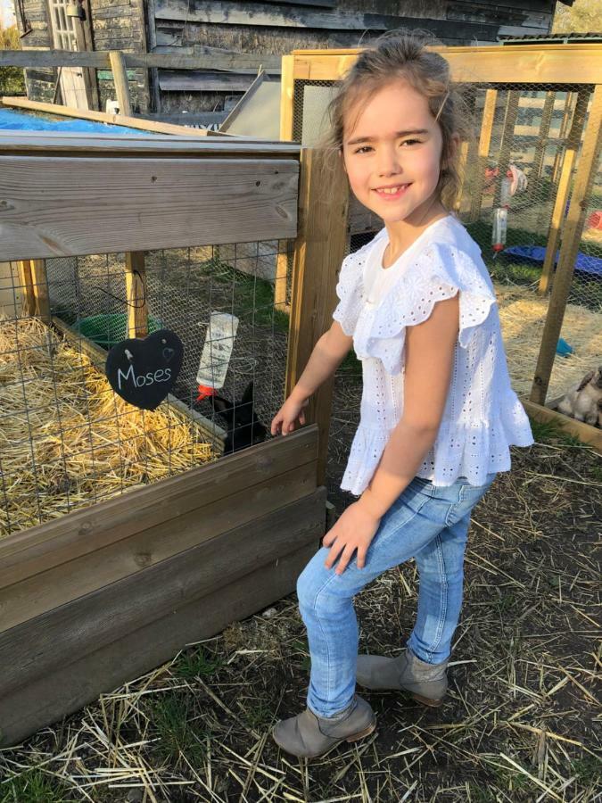 Willow Court Farm Studio South & Petting Farm, 8 Mins From Legoland & Windsor, 15 Mins From Lapland Uk Exterior foto