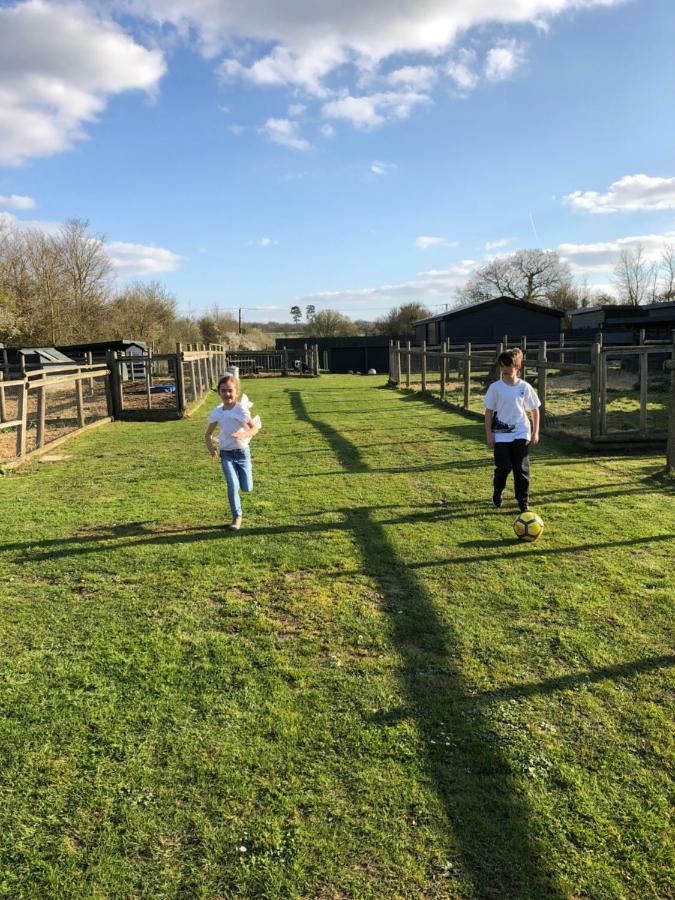 Willow Court Farm Studio South & Petting Farm, 8 Mins From Legoland & Windsor, 15 Mins From Lapland Uk Exterior foto